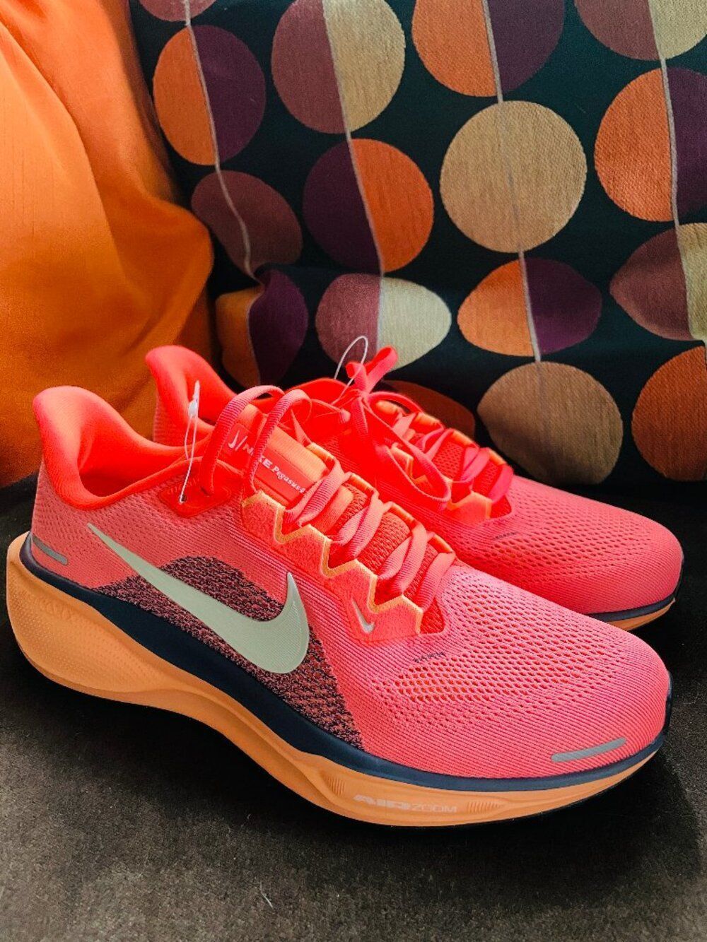 NEW Woman's Sneakers & Athletic Shoes Nike Pegasus 41 Special Edition Unreleased